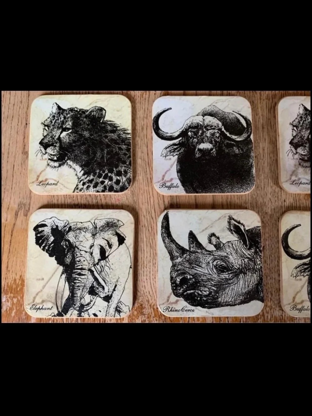 7 African Animal Coasters Cork Back Buffalo Leopard Lion Rhino Elephant